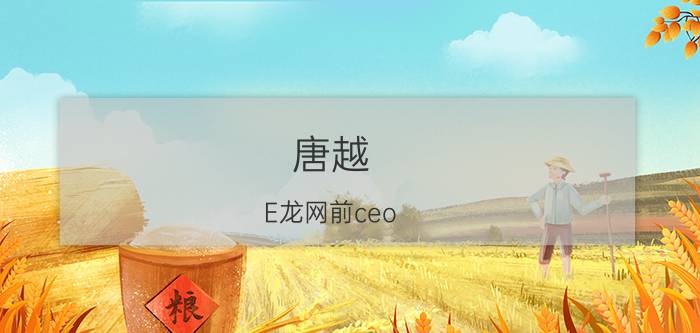 唐越 E龙网前ceo